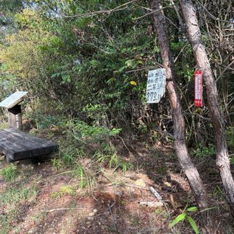 こちらが山頂。