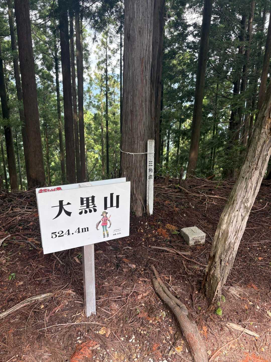 ここです。ひっそりと🗻