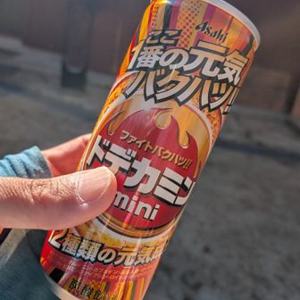 薬師岳小屋でシュワシュワ購入
コーラが直前で売切れ(TдT)