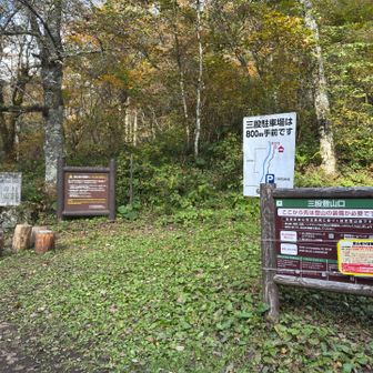まめうち平からはあっという間に下山