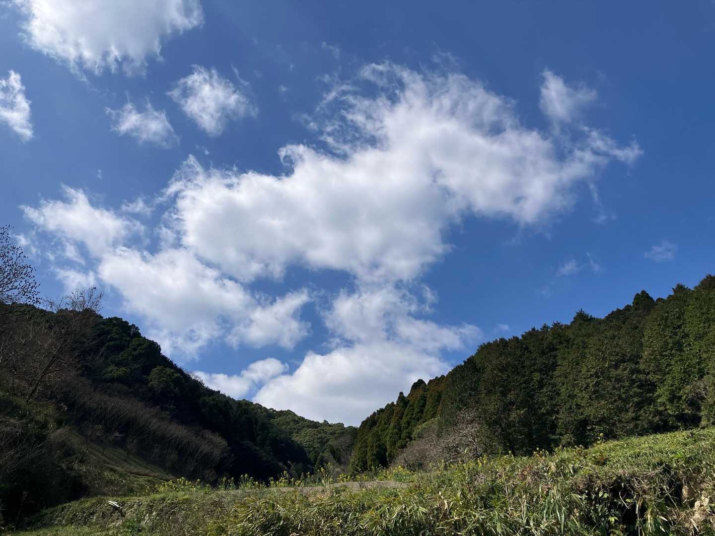 鷹取山 往復コースの写真