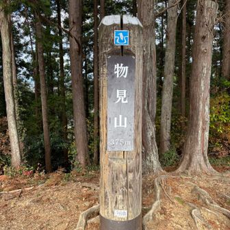 舗装道路から離れ、小さな上下をこなして最後に少し登ると、物見山山頂でした。