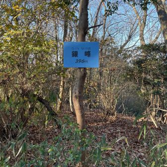 まあまあ登って、銀峰到着
木に「なぜはずすのー」と書いてある。確かに過去レポで見たのとは違う名板