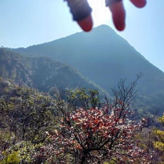 摘まんでみたら、あれっ？
摘まんだのは☀だったか😁