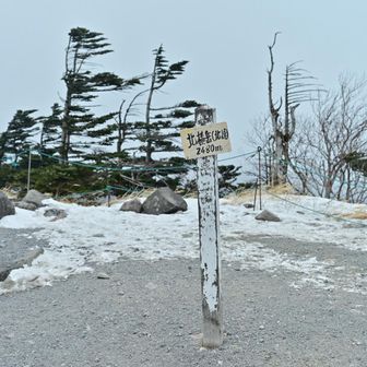 ちょい歩きで北峰、この頃には眺望皆無の虚無の世界