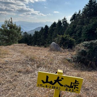やっと山犬の峠🐶
赤牟田の辻まで半分登ったくらいかな
奥に小さく見えてるお山に行くんやね~
遠くないか〜