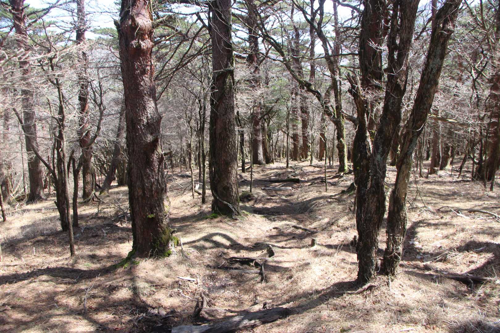 何も聞こえない
静かな山の中