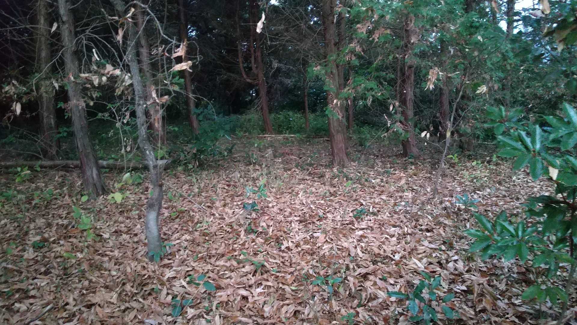 山頂はこんな感じで、何もありません、視界なし😅