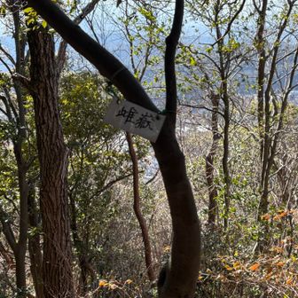 雌岳山頂。ちょこっと眺望あり