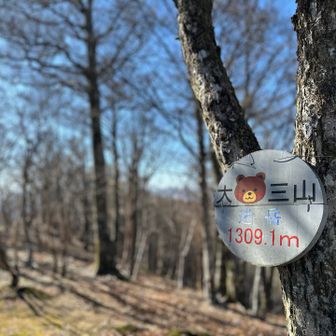 プレート可愛い💕