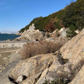 海沿いを歩きます。