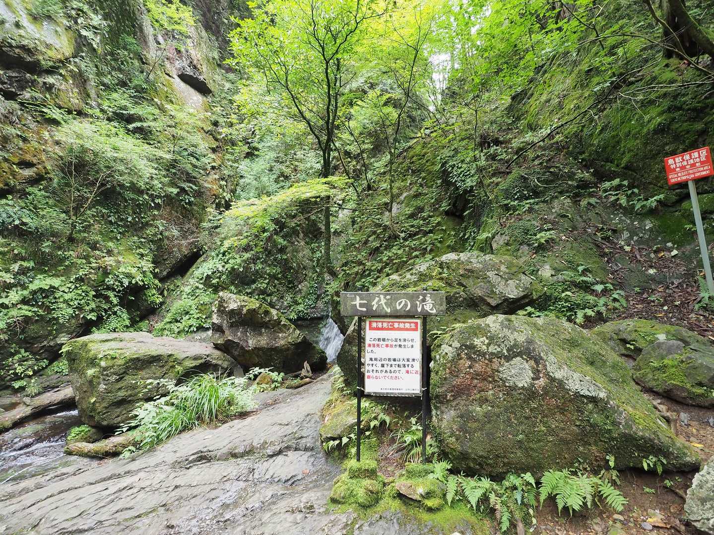 御岳山駅-御嶽神社-御岳山-天狗の腰掛け杉 周回コースの写真