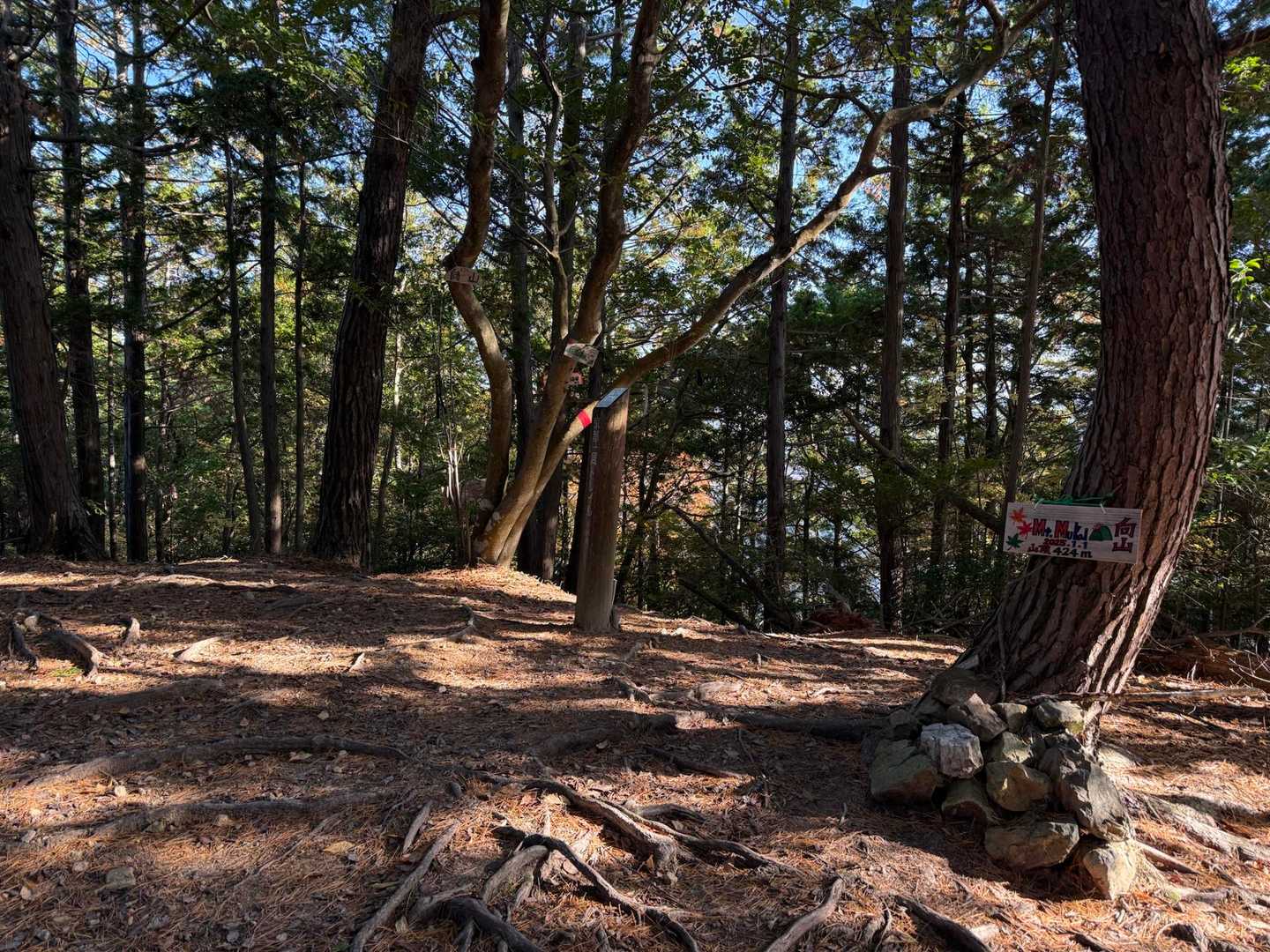 向山山頂🙌🏻