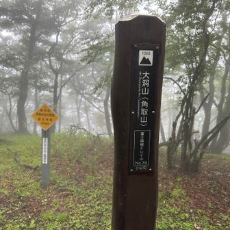 大洞山。ここで折り返し。