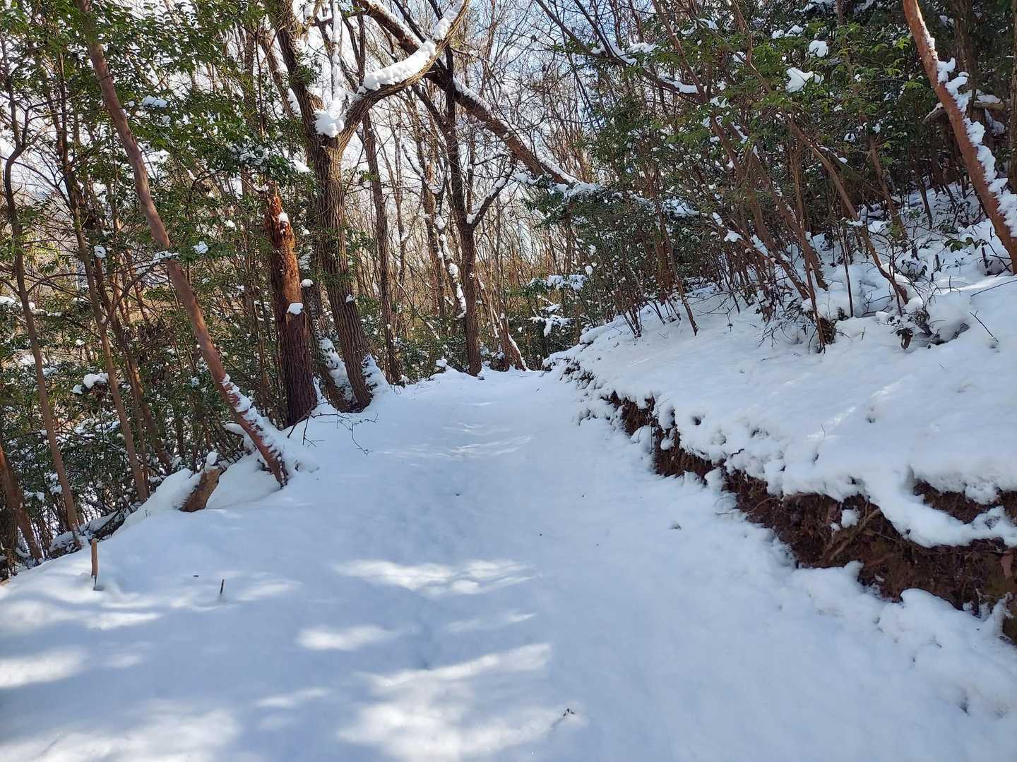 10cmは積もってる❄️
誰も歩いてない！