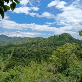 さっき居た城山やな〜