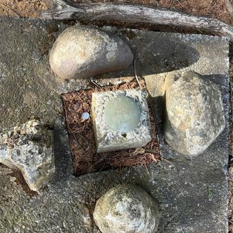 奥の院にあるこの4つの石、何か意味があるのかな🤔わかる方いたら教えてください🙏