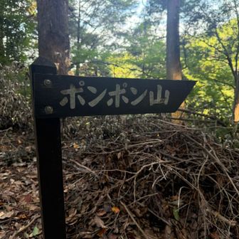 ポンポン山♪
可愛い名前の山ですよねぇ🥰
