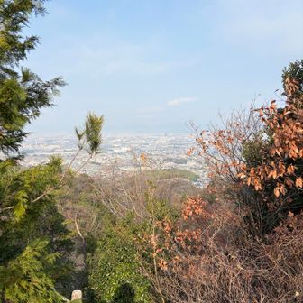 知らないうちに交野市が見えてきた
寝屋川はもう道の後ろ