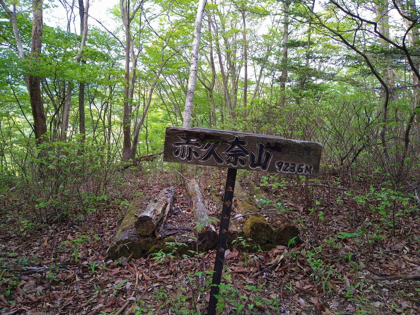 赤久奈山（赤杭山）の写真
