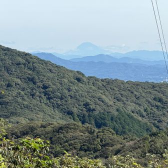 今日は富士山見えました🙌🏻