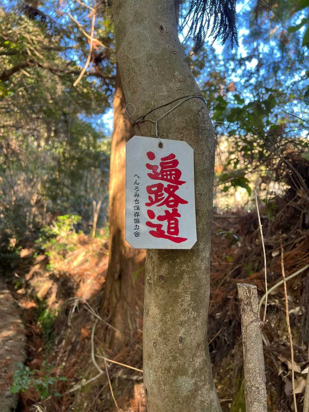 遍路道で行く。
最近のお遍路さんは車がメインだと思いながら。