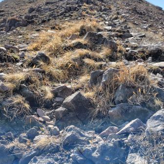 むき出しの岩場、なかなか登りごたえあるね