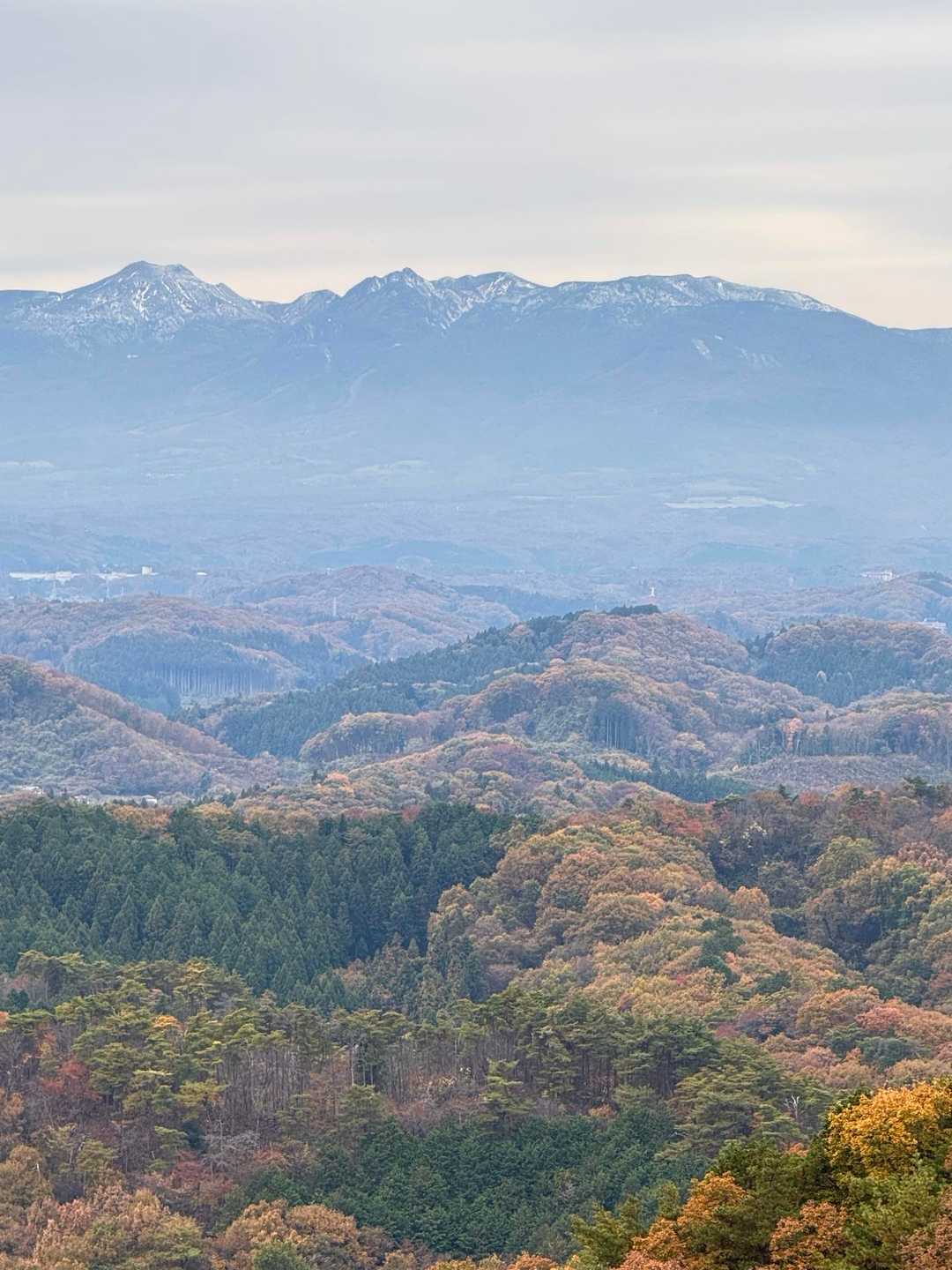 晴れてたら100点満点
これはこれで💯