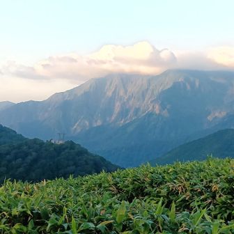 3日目、清水峠白崩避難小屋。
日の出から30分経過。
谷川岳の稜線が染まり始める?