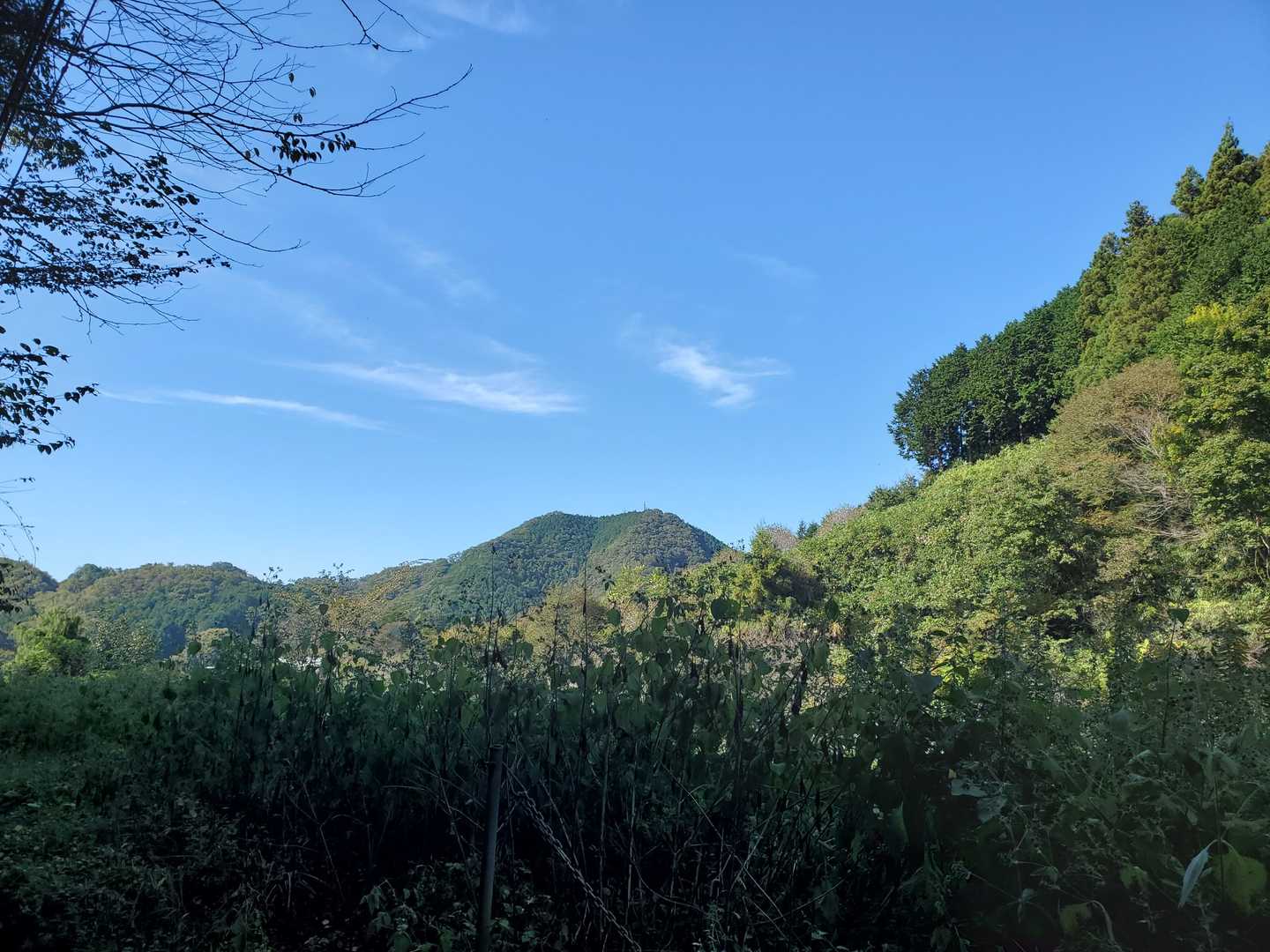 石老山 往復コースの写真