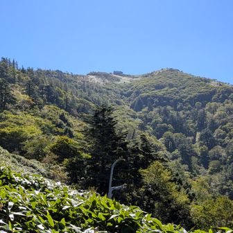 太郎もチラッと