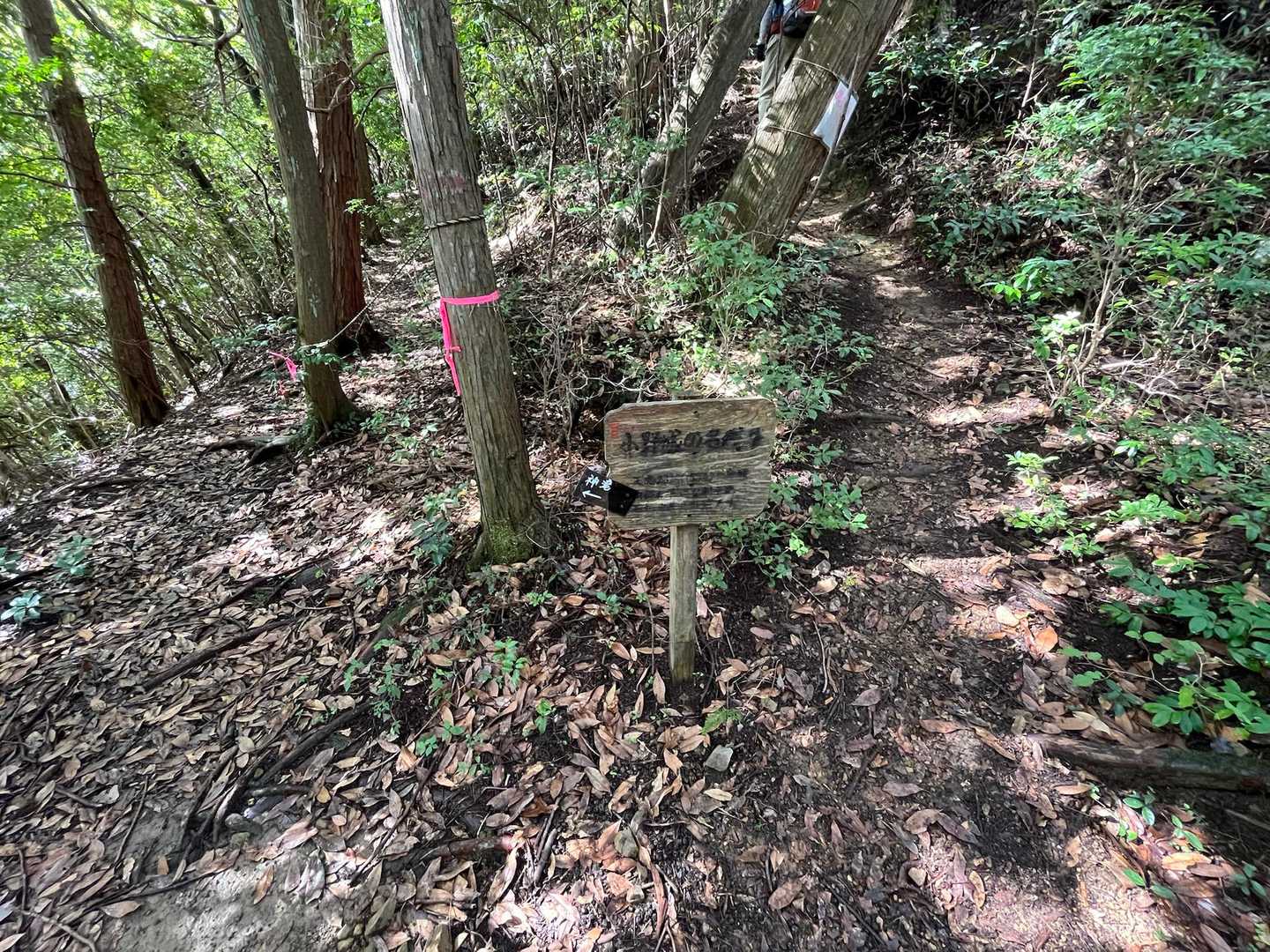 高沢山-大仏山-本城山 周回コースの写真