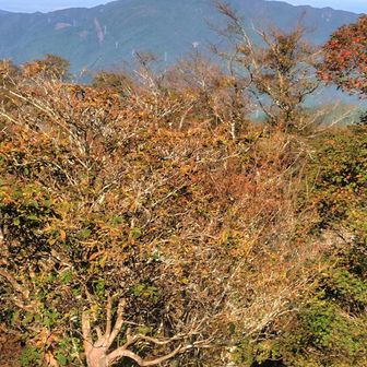 赤星山