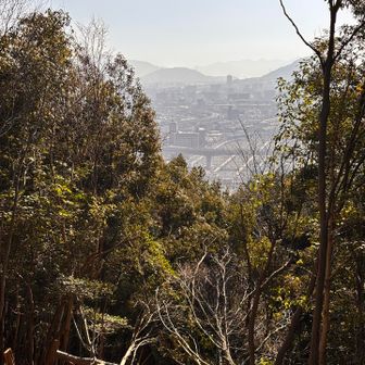 町は、黄砂で真っ白🤣