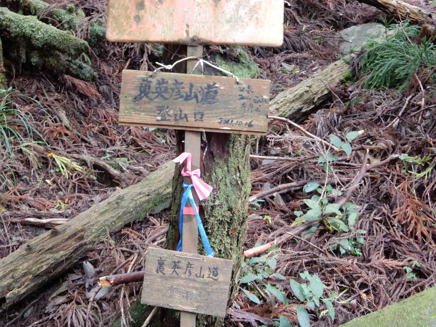 裏英彦山道。
途中危険個所有り！