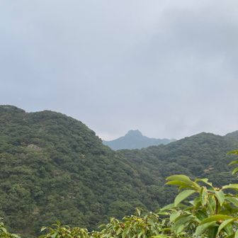遠くに見える山頂