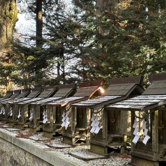 一つだけ光が当たっていて神秘的に感じました☀️