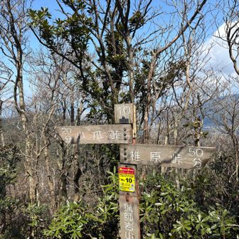 私、猟師岩山到着。ここは石楠花の群生地。まだまだだね〜。