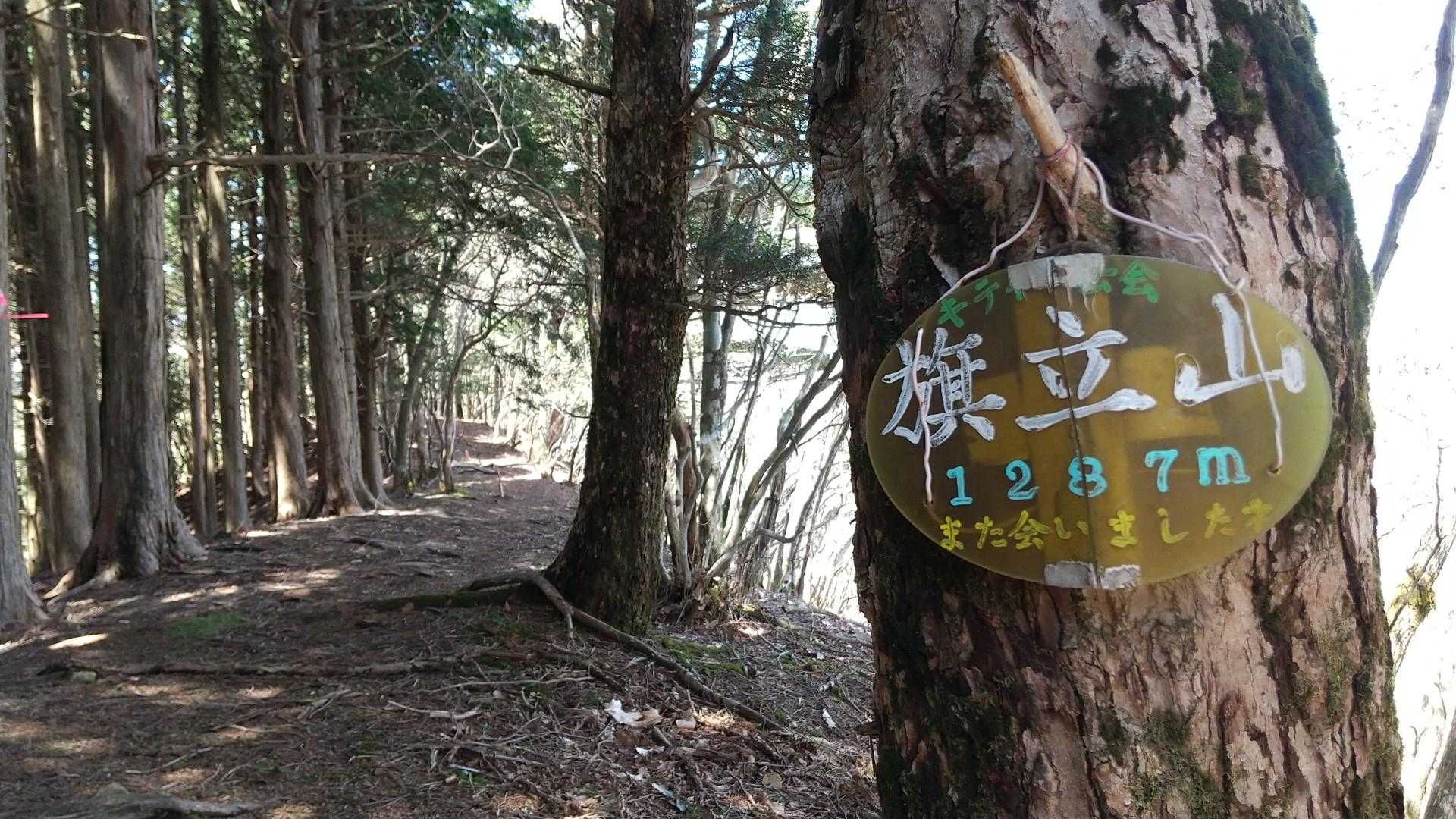 なんと旗立山は眺望ゼロ😅
それでも山頂の表示は何かいい👍