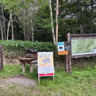 なんとか戻ってきました。
ココを本日のゴールとする‼️
