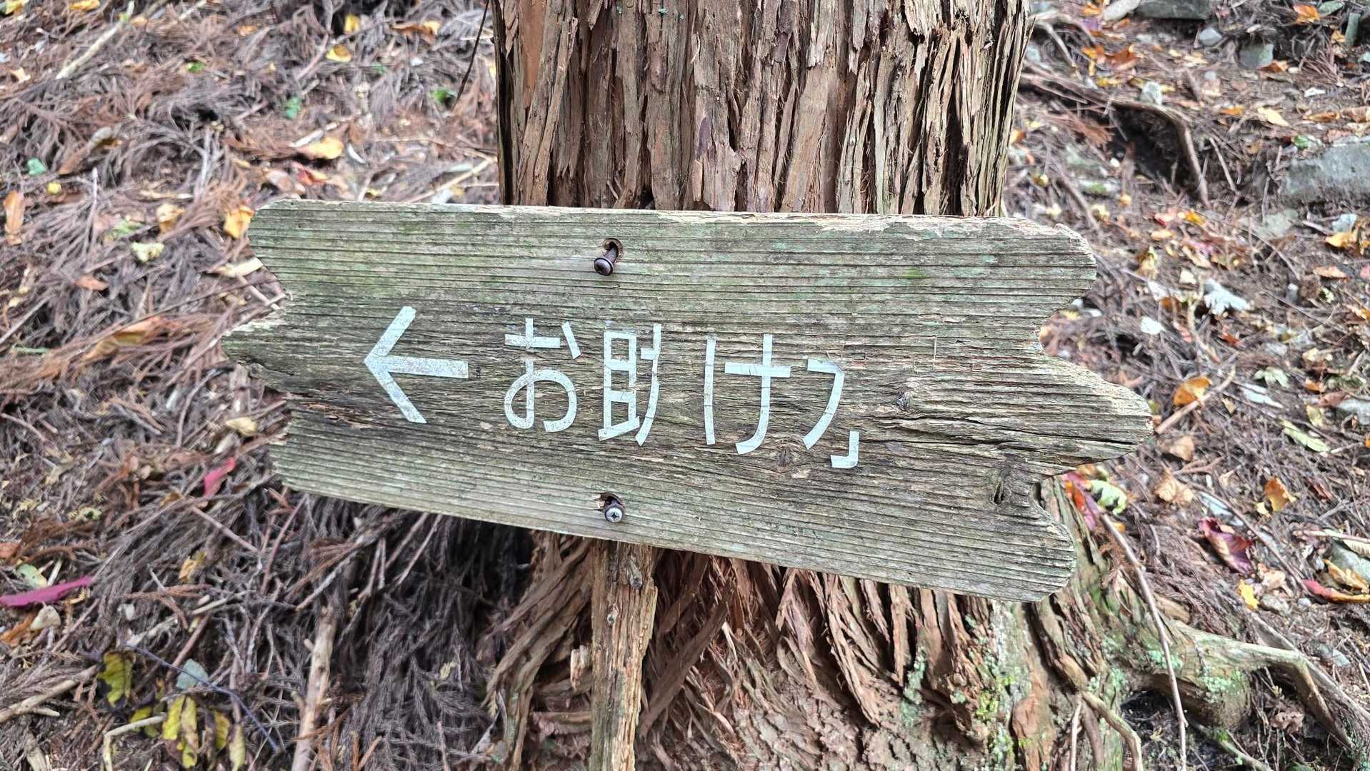 母袋烏帽子岳 往復コースの写真