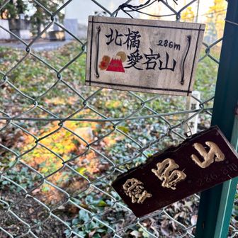 三角点にスポットライト当たってたのよ💡