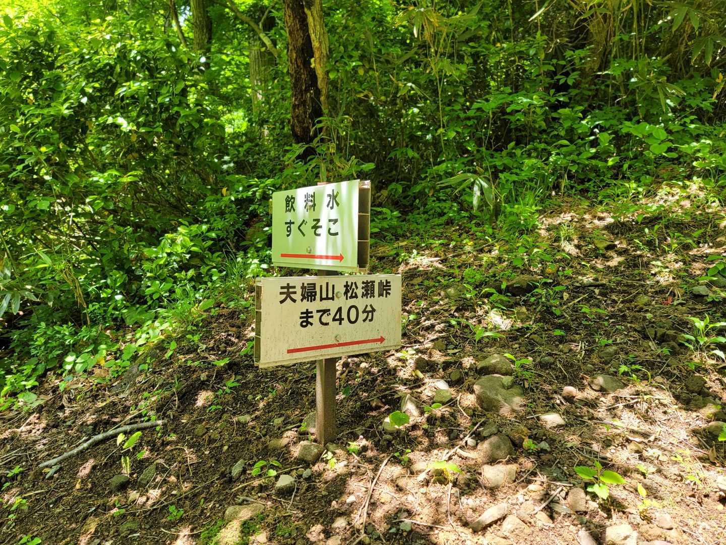 夫婦山-夫婦山 往復コースの写真
