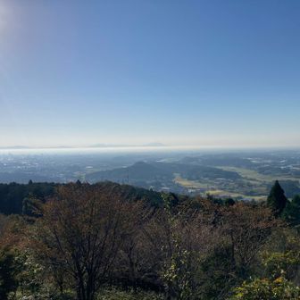 里山らしい眺め