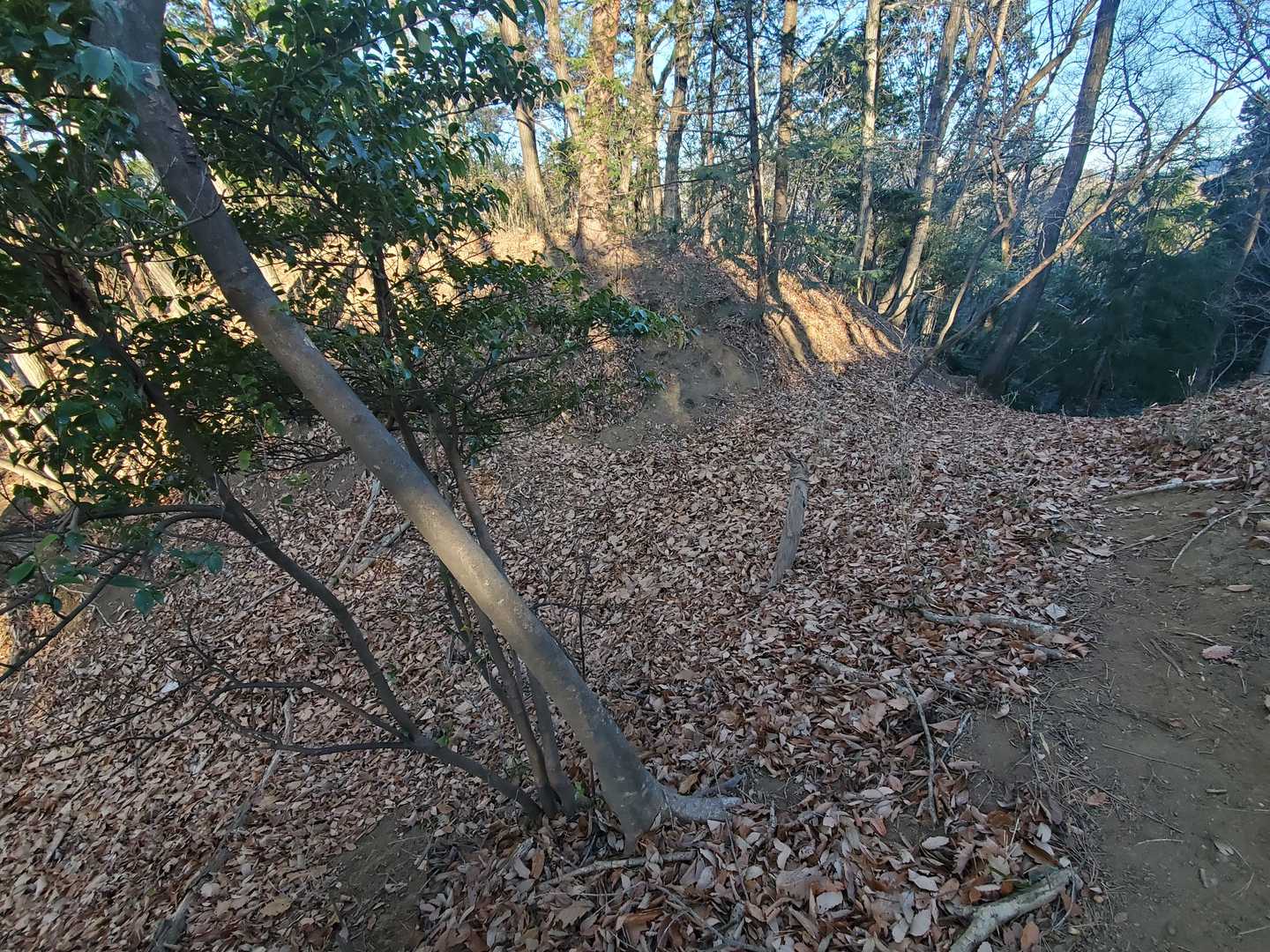 ふむ？登山道の一部が斜面に抉れてますね？水の流れでできた溝なら斜面に平行に出来るはずなので不自然な窪みです。
入口にアド城跡って書いてあったから、これは「空堀」ってやつじゃないでしょうか？敵の襲撃に備えて足止めするための水のない堀。知識として聞いたことはあったけど、これだけわかりやすい実物をみるのは初めてです。