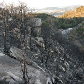 駐車場はまだまだたくさん駐まってますね