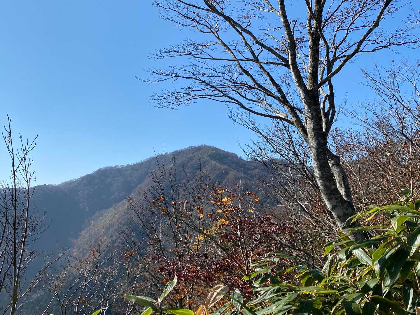 本日のお山ですか⁉︎