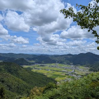 お殿様気分