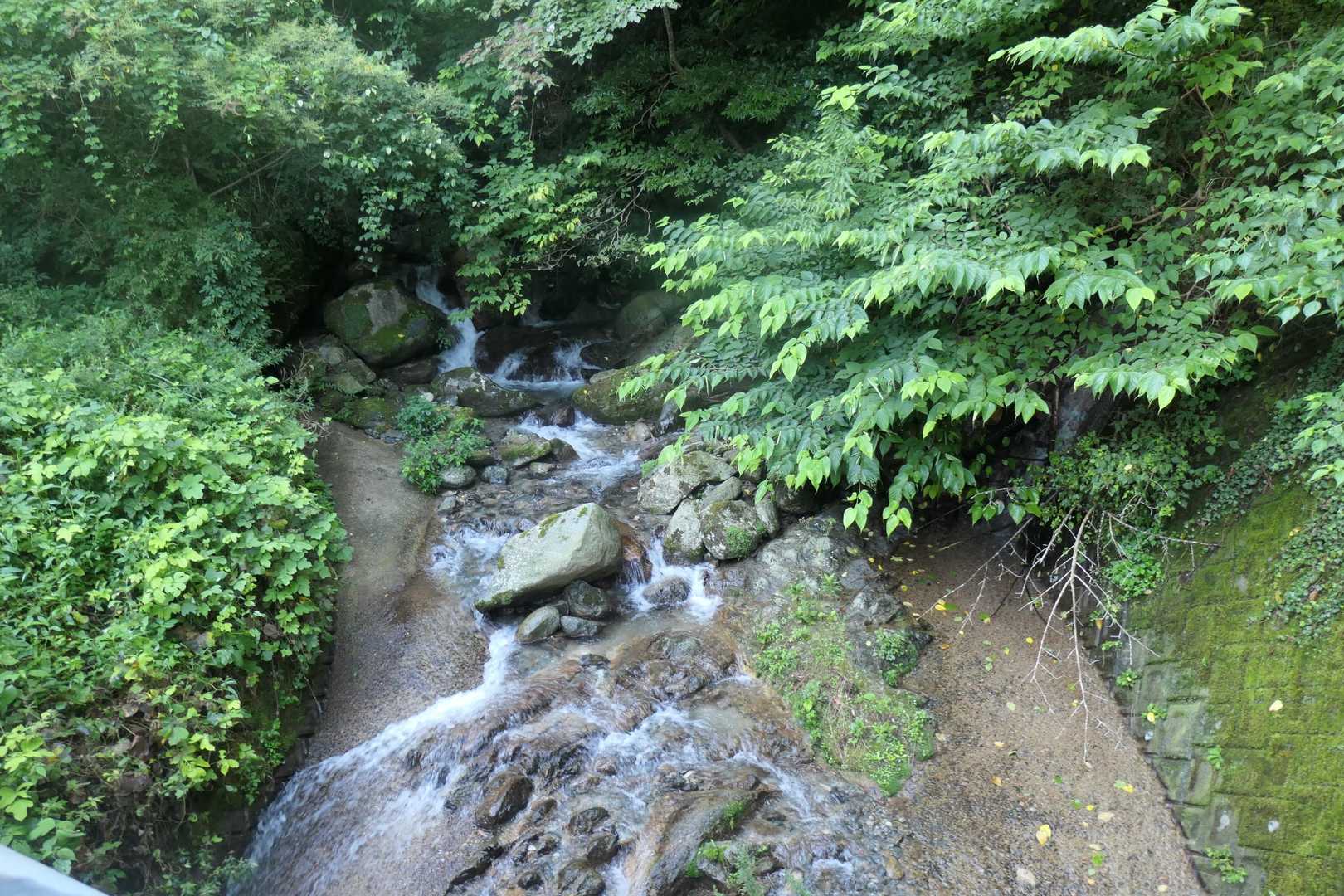 水が多そう