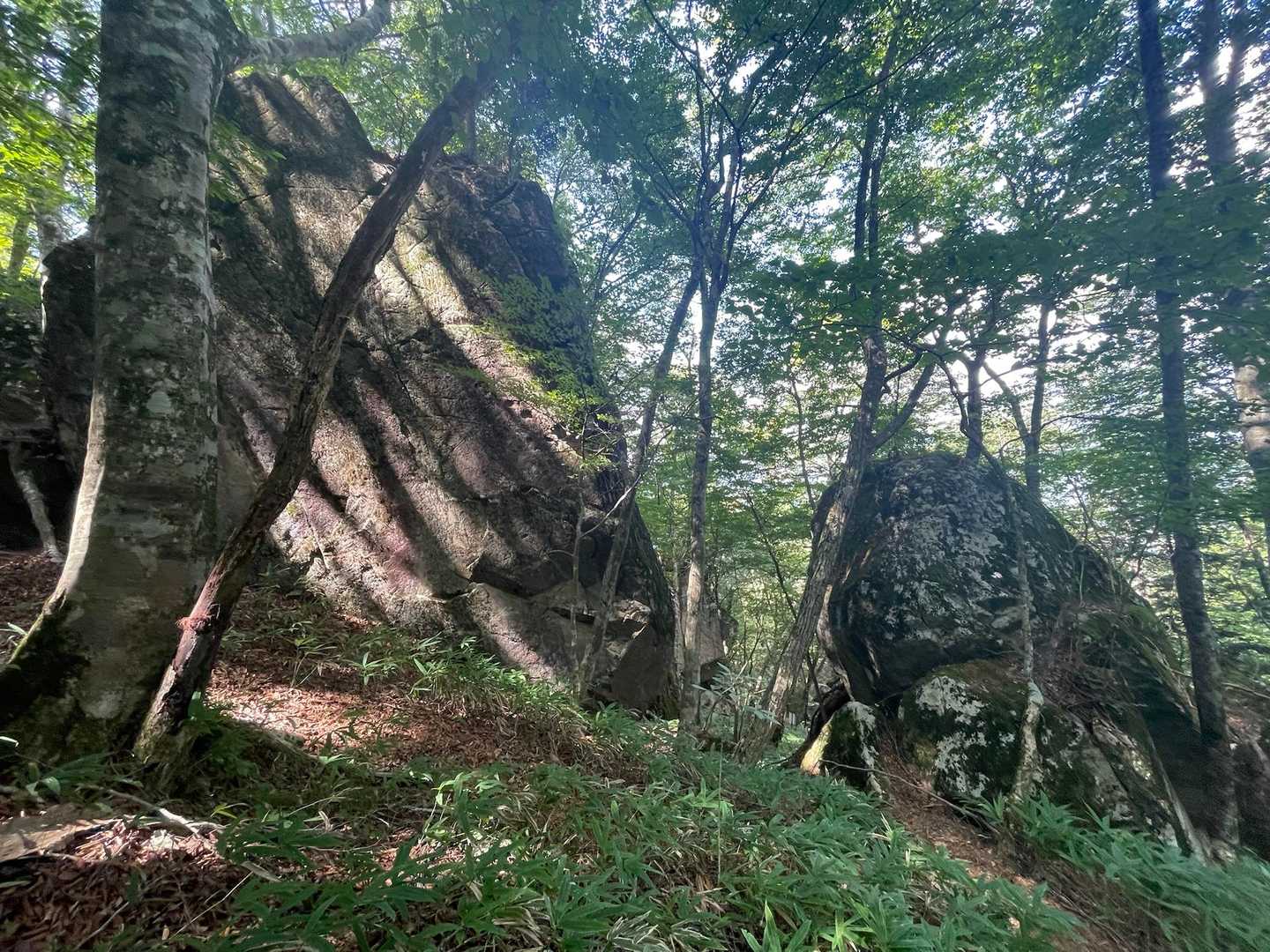 この辺りは岩だらけ🪨